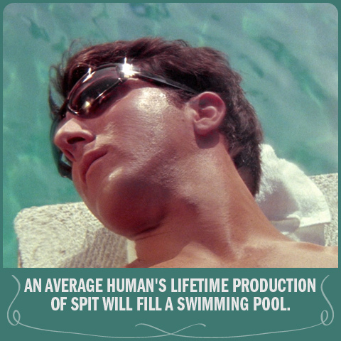 fact_1