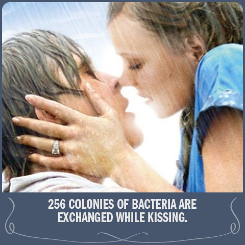 fact_5