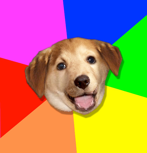 advice_dog