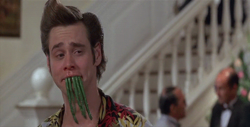 aceventura2
